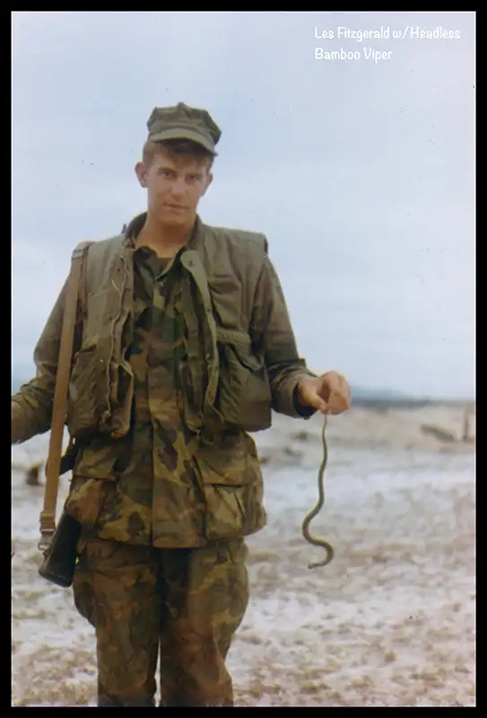 Photos - Vietnam - The Last Combat Marines